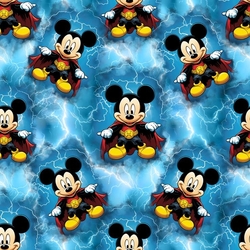 Softshell zimní   MICKEY BLESKY