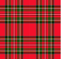 Teplákovina fitness -  tartan