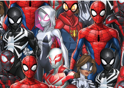 ZBYTEK Funkční úplet COOLMAX - SPIDER - 40 CM