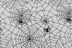 Organza vzor HALLOWEEN pavučina s pavoukem černá 