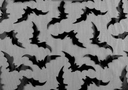Tyl vzor HALLOWEEN netopýr černá