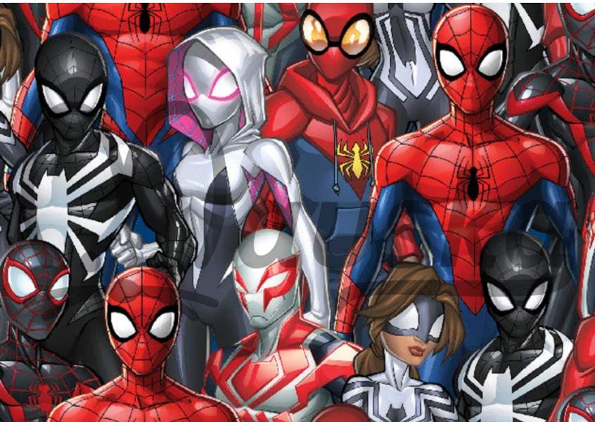 Funkční úplet COOLMAX - SPIDER